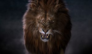 Preview wallpaper lion, predator, big cat, fangs, glance