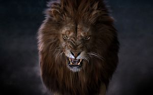Preview wallpaper lion, predator, big cat, fangs, glance