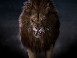 Preview wallpaper lion, predator, big cat, fangs, glance