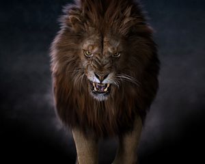 Preview wallpaper lion, predator, big cat, fangs, glance
