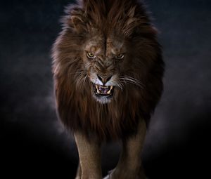 Preview wallpaper lion, predator, big cat, fangs, glance