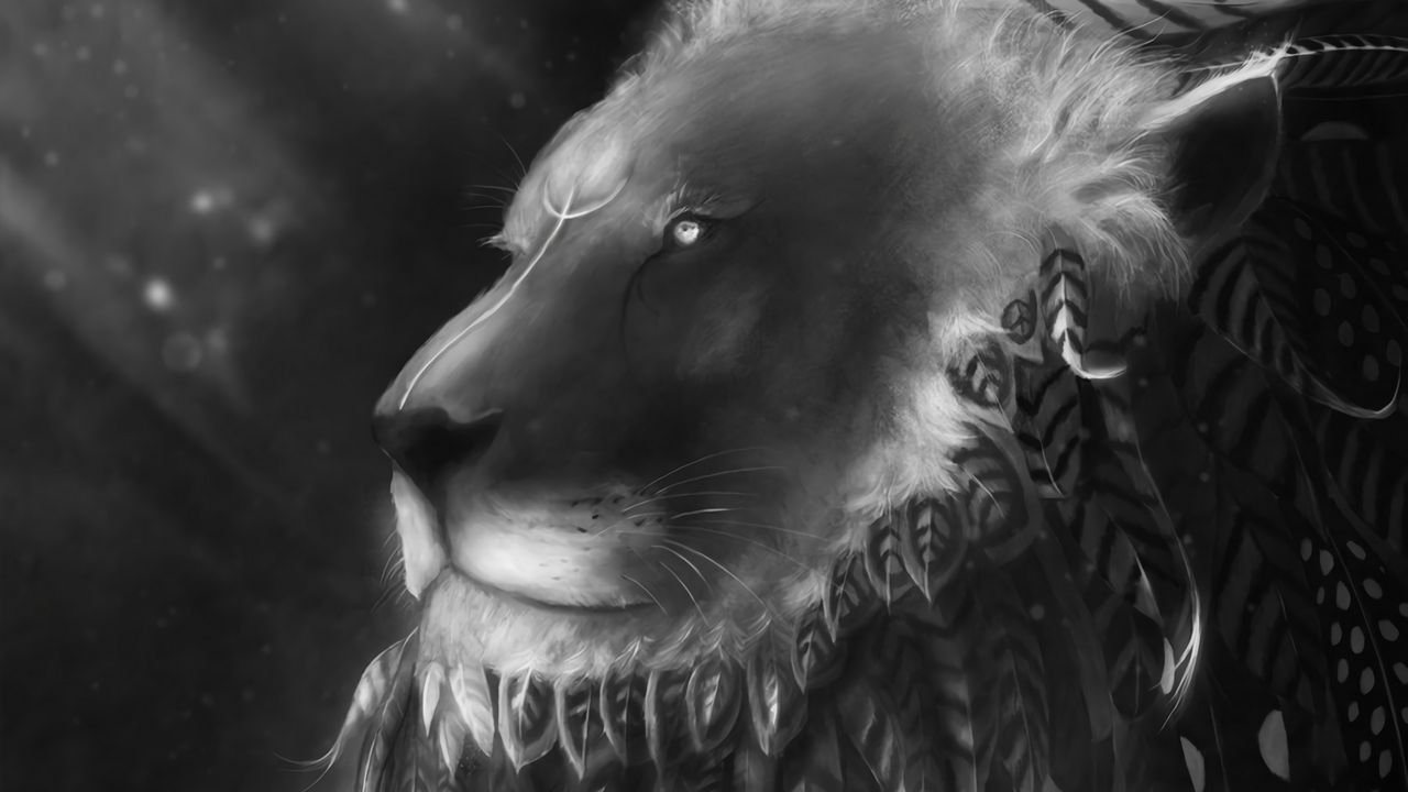 Wallpaper lion, predator, feathers, bw