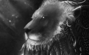 Preview wallpaper lion, predator, feathers, bw