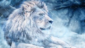 Preview wallpaper lion, snow, big cat, king of beasts