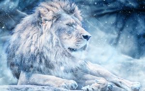 Preview wallpaper lion, snow, big cat, king of beasts
