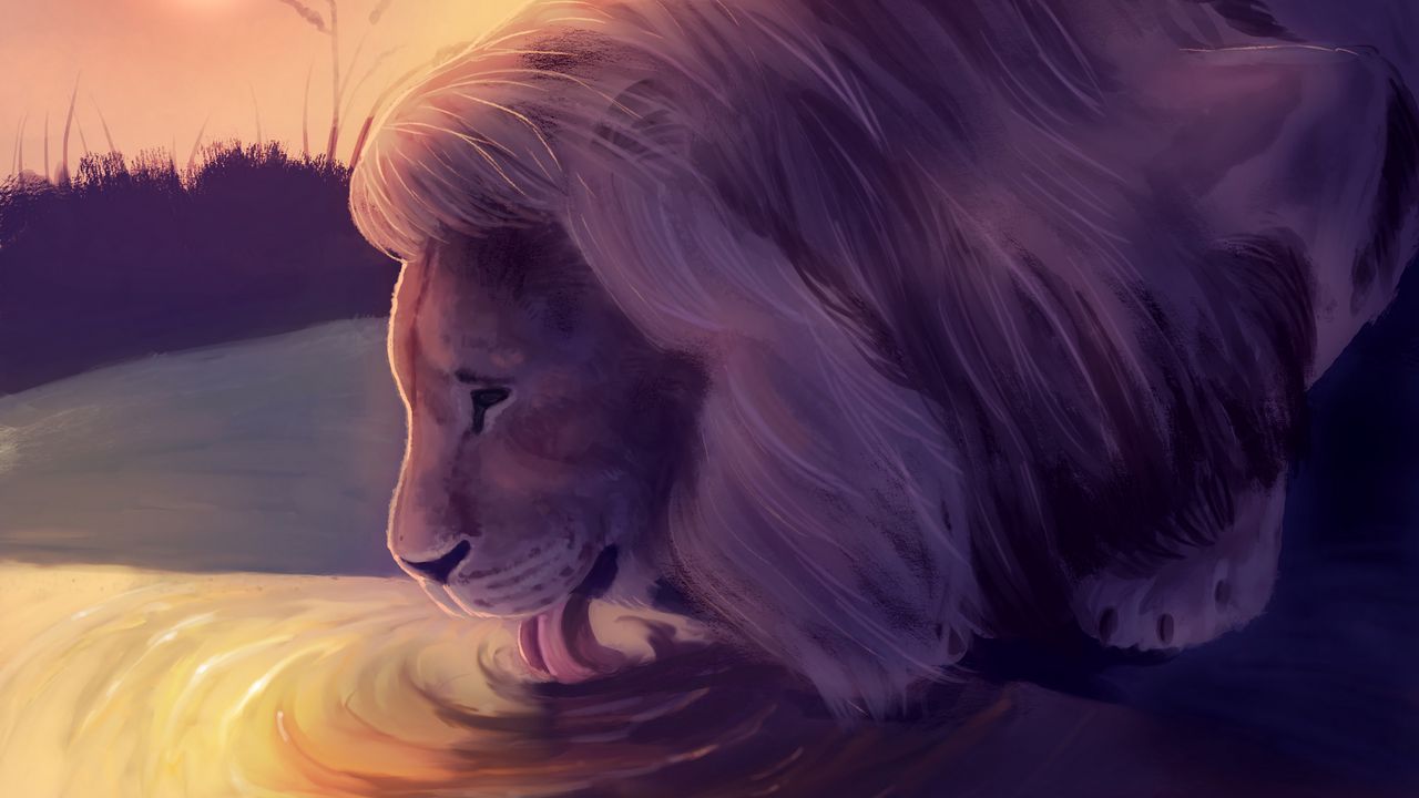Wallpaper lion, water, protruding tongue, art, wildlife