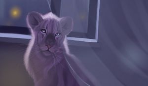 Preview wallpaper lion, window, art, night