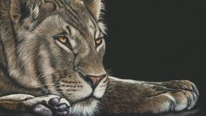 Preview wallpaper lioness, big cat, glance, art, drawing