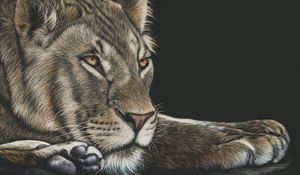 Preview wallpaper lioness, big cat, glance, art, drawing