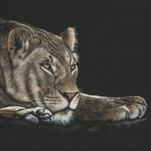 Preview wallpaper lioness, big cat, glance, art, drawing