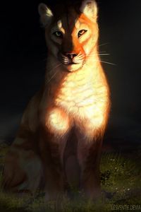 Preview wallpaper lioness, big cat, glance, art