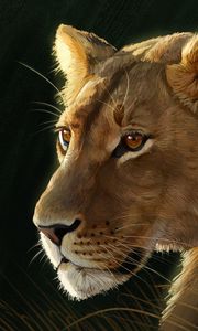 Preview wallpaper lioness, big cat, predator, glance, art