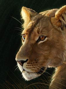 Preview wallpaper lioness, big cat, predator, glance, art