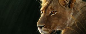 Preview wallpaper lioness, big cat, predator, glance, art