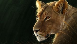 Preview wallpaper lioness, big cat, predator, glance, art