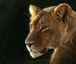Preview wallpaper lioness, big cat, predator, glance, art