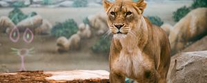 Preview wallpaper lioness, lion, big cat, wildlife, predator