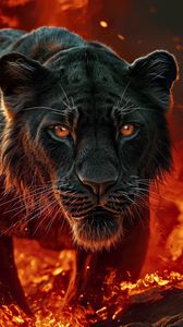 Preview wallpaper lioness, lion, fire, predator, big cat, art