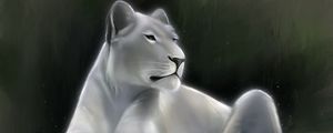 Preview wallpaper lioness, lion, glance, predator, art