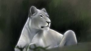 Preview wallpaper lioness, lion, glance, predator, art