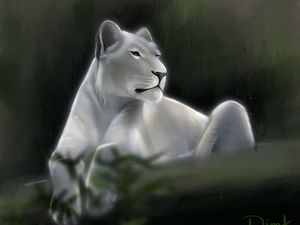 Preview wallpaper lioness, lion, glance, predator, art