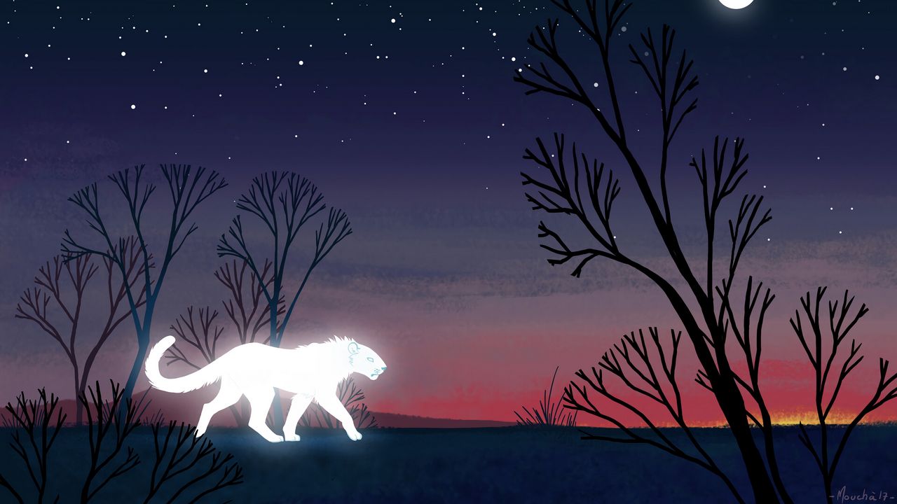 Wallpaper lioness, predator, glow, night, trees, art