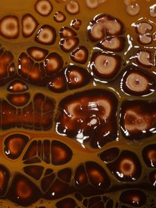 Preview wallpaper liquid, bubbles, abstraction, brown