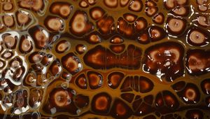 Preview wallpaper liquid, bubbles, abstraction, brown
