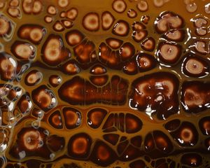 Preview wallpaper liquid, bubbles, abstraction, brown