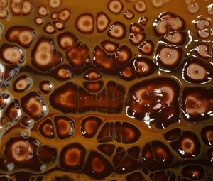Preview wallpaper liquid, bubbles, abstraction, brown