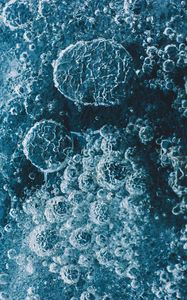 Preview wallpaper liquid, bubbles, macro