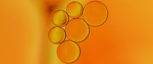 Preview wallpaper liquid, bubbles, orange, macro