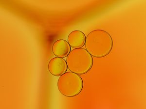 Preview wallpaper liquid, bubbles, orange, macro