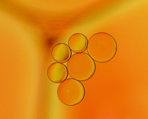 Preview wallpaper liquid, bubbles, orange, macro