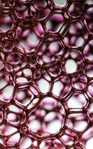 Preview wallpaper liquid, bubbles, pink, macro
