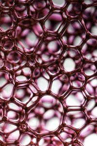 Preview wallpaper liquid, bubbles, pink, macro