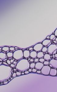 Preview wallpaper liquid, bubbles, purple, macro
