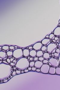 Preview wallpaper liquid, bubbles, purple, macro