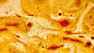 Preview wallpaper liquid, foam, macro, abstraction, brown