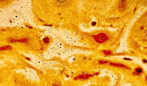 Preview wallpaper liquid, foam, macro, abstraction, brown
