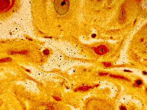 Preview wallpaper liquid, foam, macro, abstraction, brown