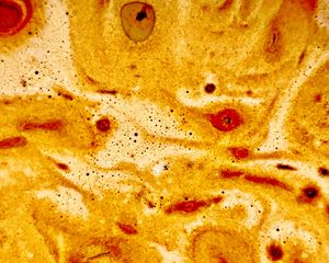 Preview wallpaper liquid, foam, macro, abstraction, brown