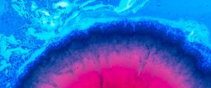 Preview wallpaper liquid, spots, paint, blue, pink