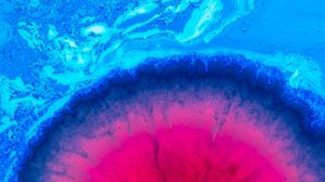 Preview wallpaper liquid, spots, paint, blue, pink