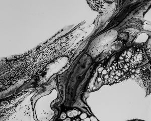 Preview wallpaper liquid, texture, bw, stains, spots, abstraction