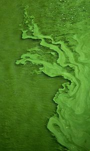 Preview wallpaper liquid, texture, green, abstraction