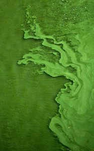 Preview wallpaper liquid, texture, green, abstraction