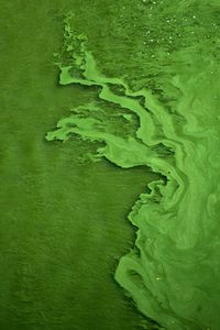 Preview wallpaper liquid, texture, green, abstraction