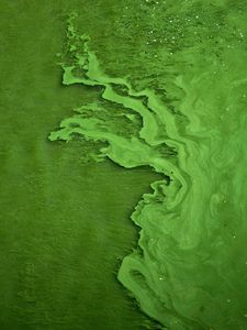 Preview wallpaper liquid, texture, green, abstraction