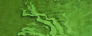 Preview wallpaper liquid, texture, green, abstraction
